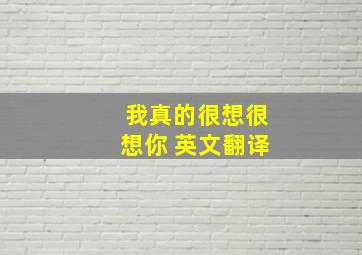 我真的很想很想你 英文翻译